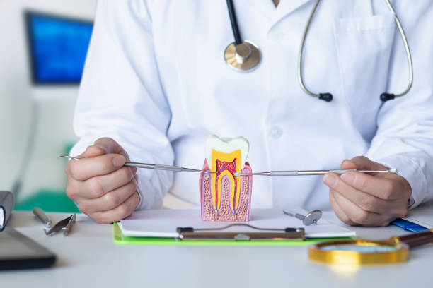 Best Orthodontic Emergency Dentist in Katy, TX